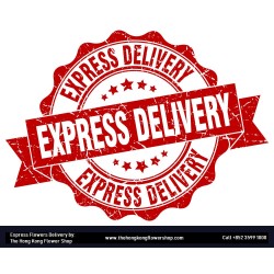 Belgian Chocolate Caramel Mousse Cake