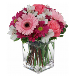 Blushing Beauty Pink