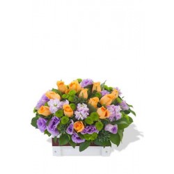 Orange Rose and Matthiola Arrangement