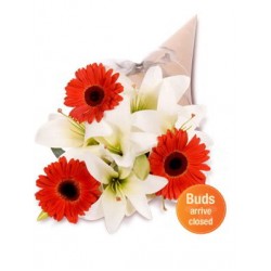 Gerbera and Asiatic Bouquet