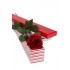 1 Long Stem Premium Rose Presentation Box
